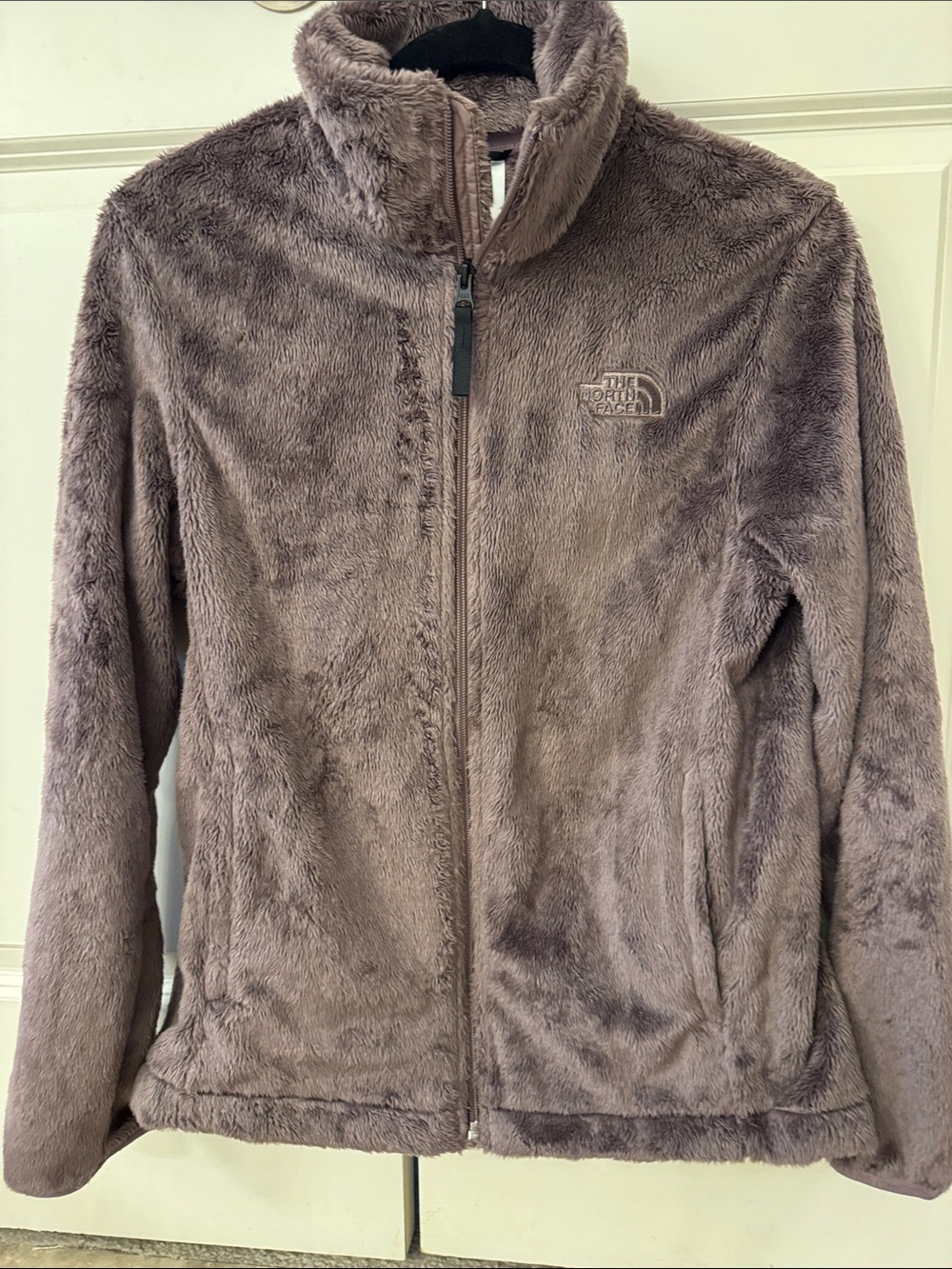 The North Face Women's Plush FleeceJacket in Light Purple